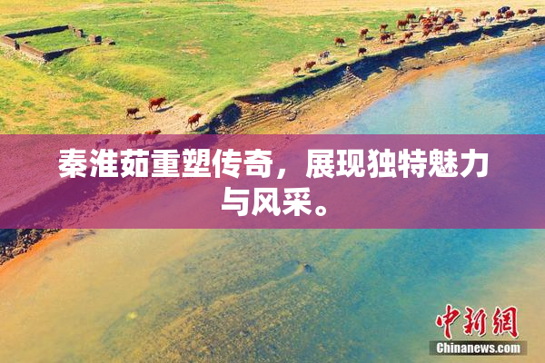 秦淮茹重塑传奇，展现独特魅力与风采。