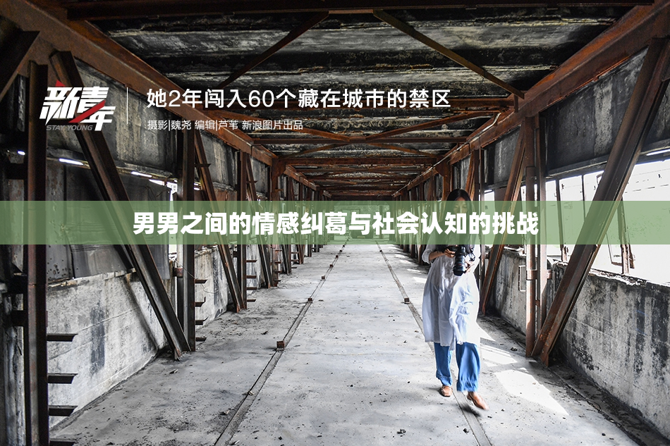 男男之间的情感纠葛与社会认知的挑战