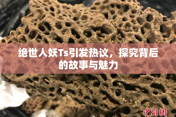 绝世人妖Ts引发热议，探究背后的故事与魅力