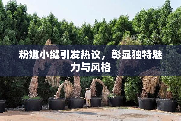 粉嫩小缝引发热议，彰显独特魅力与风格