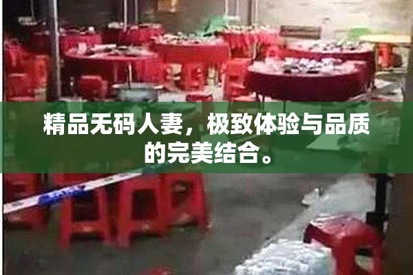 精品无码人妻，极致体验与品质的完美结合。
