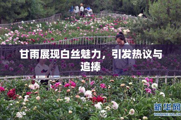 甘雨展现白丝魅力，引发热议与追捧