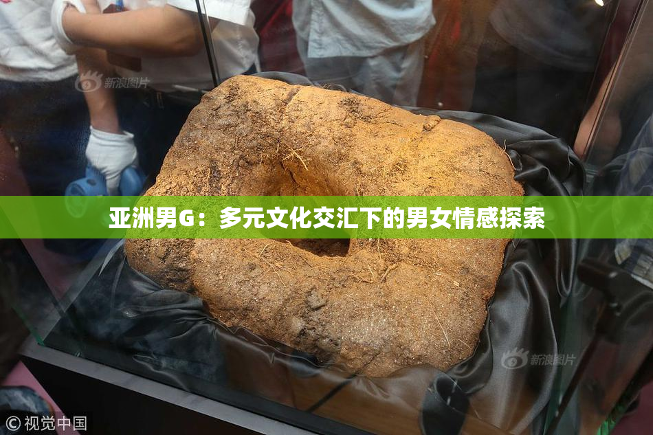 亚洲男G：多元文化交汇下的男女情感探索
