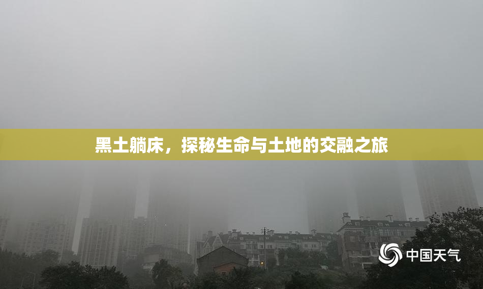 黑土躺床，探秘生命与土地的交融之旅