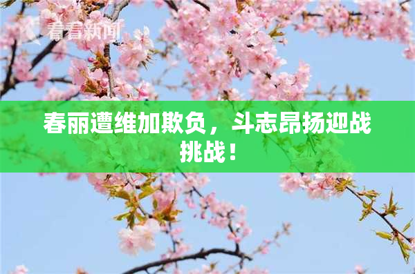 春丽遭维加欺负，斗志昂扬迎战挑战！