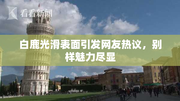 白鹿光滑表面引发网友热议，别样魅力尽显