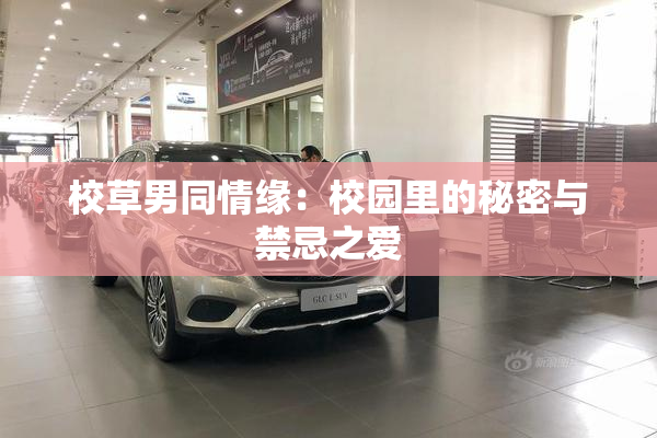校草男同情缘：校园里的秘密与禁忌之爱