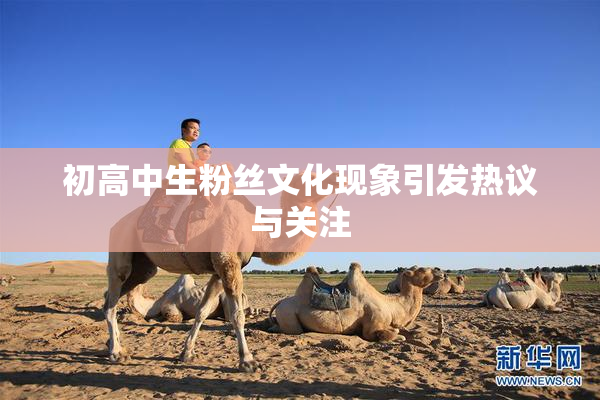 初高中生粉丝文化现象引发热议与关注