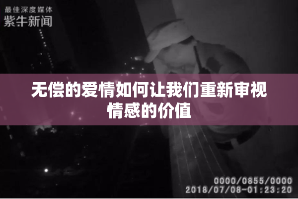 无偿的爱情如何让我们重新审视情感的价值