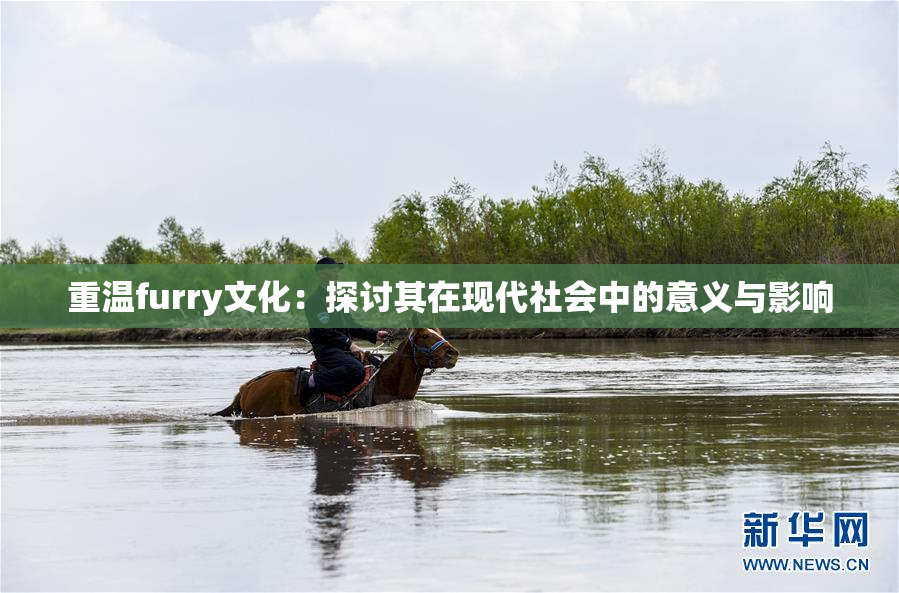 重温furry文化：探讨其在现代社会中的意义与影响