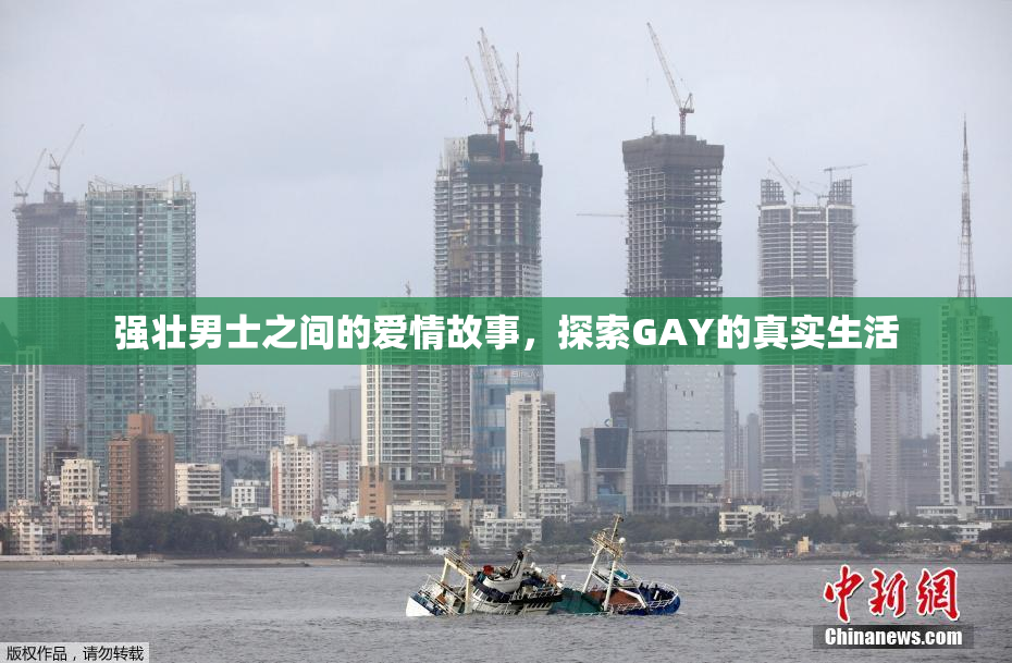 强壮男士之间的爱情故事，探索GAY的真实生活