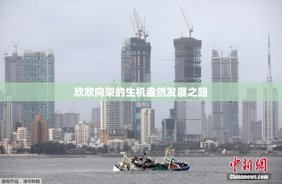 欣欣向荣的生机盎然发展之路