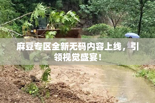 麻豆专区全新无码内容上线，引领视觉盛宴！