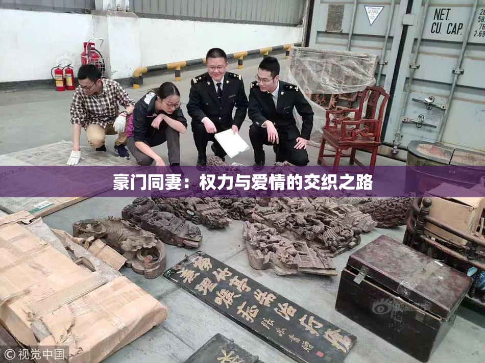豪门同妻：权力与爱情的交织之路