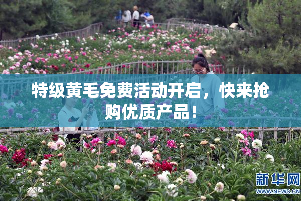 特级黄毛免费活动开启，快来抢购优质产品！