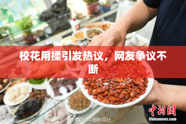 校花用揉引发热议，网友争议不断