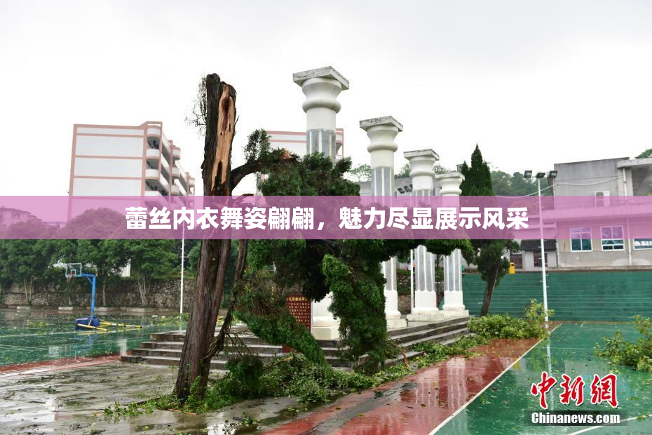 蕾丝内衣舞姿翩翩，魅力尽显展示风采
