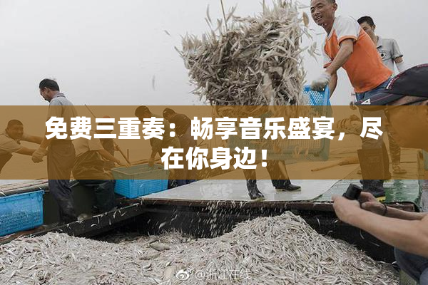 免费三重奏：畅享音乐盛宴，尽在你身边！
