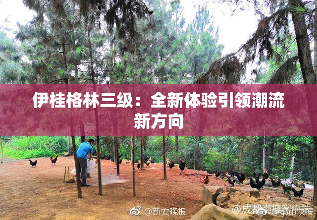 伊桂格林三级：全新体验引领潮流新方向