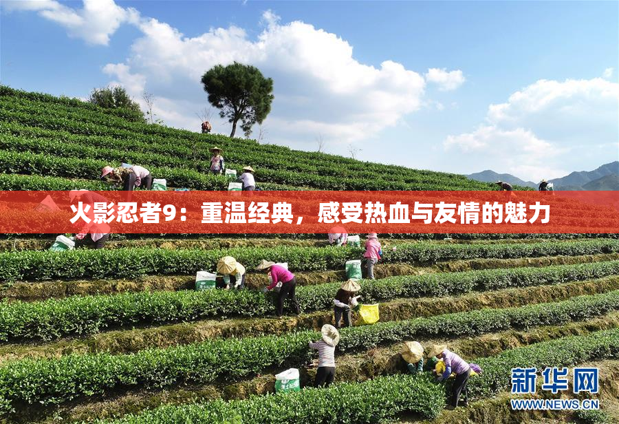 火影忍者9：重温经典，感受热血与友情的魅力