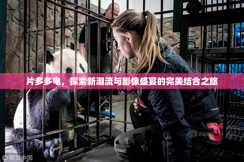 片多多电，探索新潮流与影像盛宴的完美结合之旅
