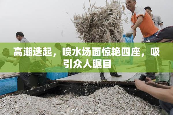 高潮迭起，喷水场面惊艳四座，吸引众人瞩目
