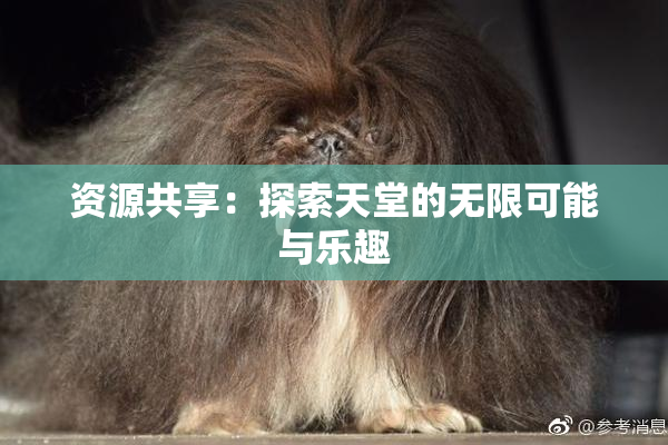 资源共享：探索天堂的无限可能与乐趣
