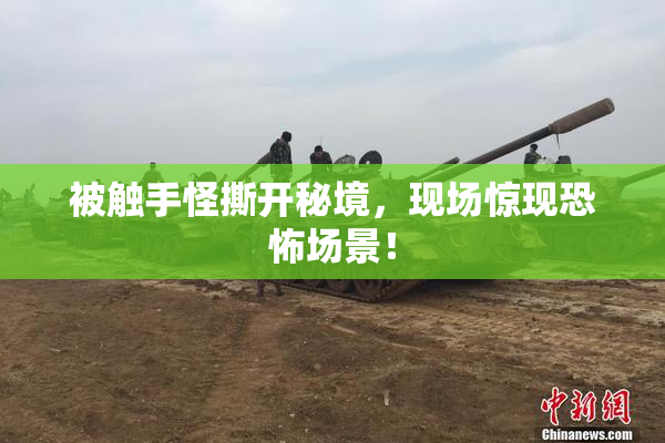 被触手怪撕开秘境，现场惊现恐怖场景！