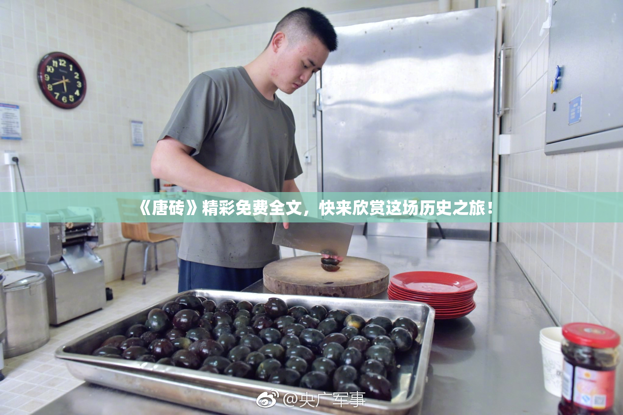 《唐砖》精彩免费全文，快来欣赏这场历史之旅！