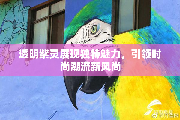 透明紫灵展现独特魅力，引领时尚潮流新风尚