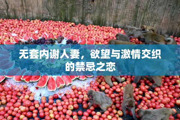 无套内谢人妻，欲望与激情交织的禁忌之恋