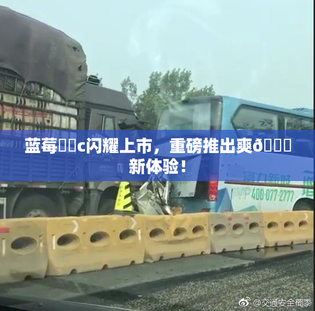蓝莓❌‌c闪耀上市，重磅推出爽🔞新体验！