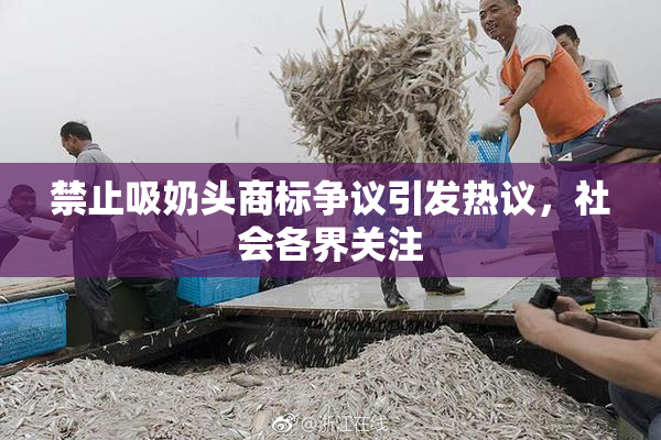 禁止吸奶头商标争议引发热议，社会各界关注