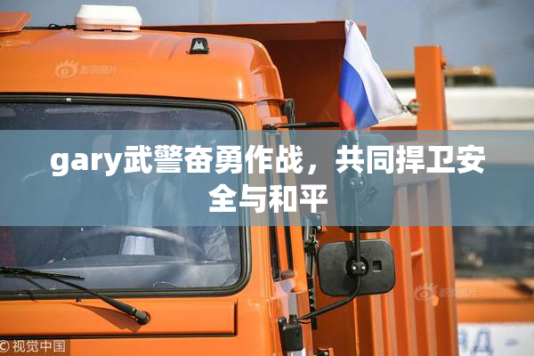 gary武警奋勇作战，共同捍卫安全与和平