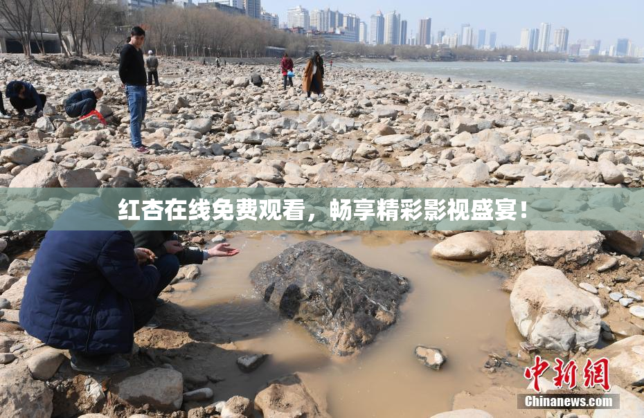 红杏在线免费观看，畅享精彩影视盛宴！