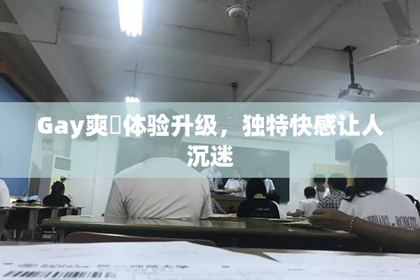 Gay爽擼体验升级，独特快感让人沉迷