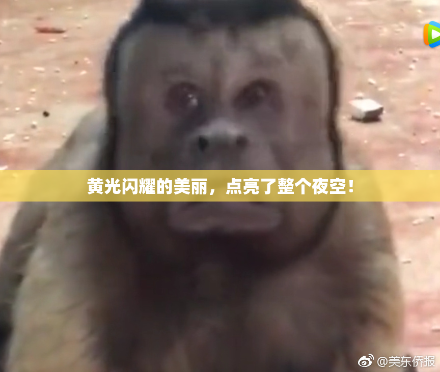 黄光闪耀的美丽，点亮了整个夜空！