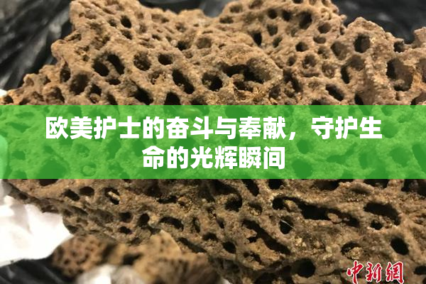 欧美护士的奋斗与奉献，守护生命的光辉瞬间