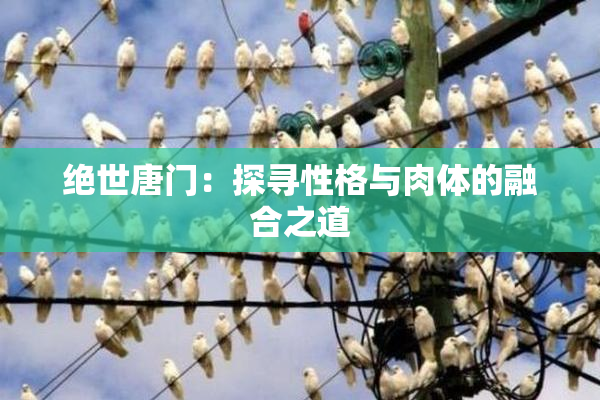 绝世唐门：探寻性格与肉体的融合之道