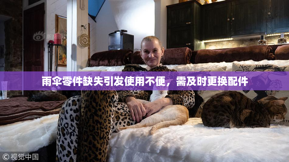 雨伞零件缺失引发使用不便，需及时更换配件