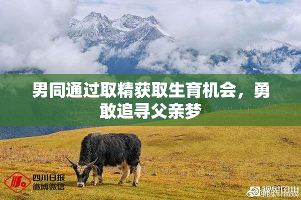 男同通过取精获取生育机会，勇敢追寻父亲梦
