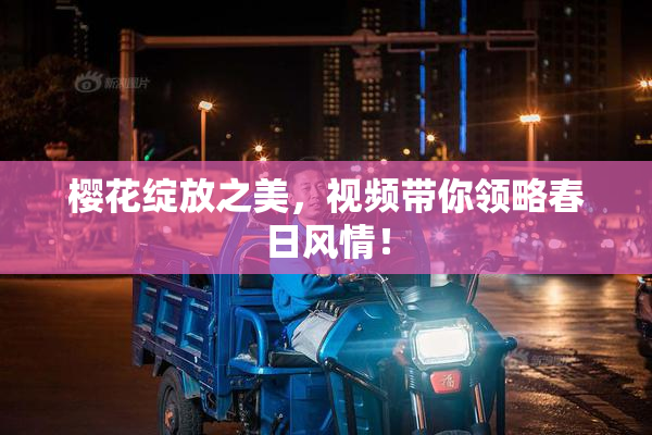 樱花绽放之美，视频带你领略春日风情！