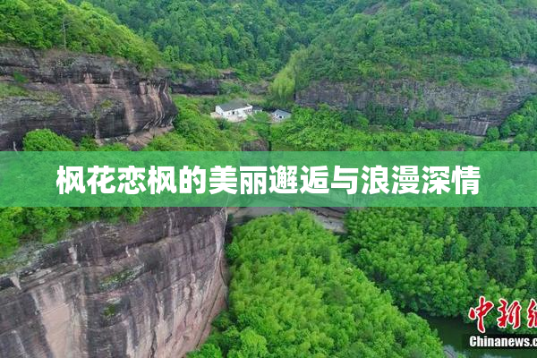 枫花恋枫的美丽邂逅与浪漫深情