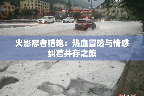 火影忍者猎艳：热血冒险与情感纠葛并存之旅