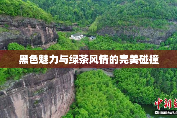黑色魅力与绿茶风情的完美碰撞