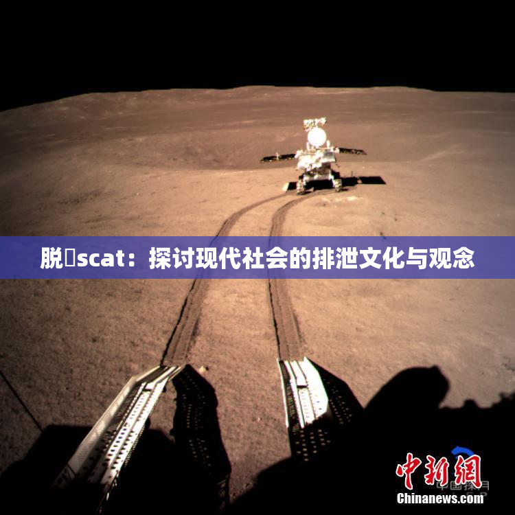 脱糞scat：探讨现代社会的排泄文化与观念