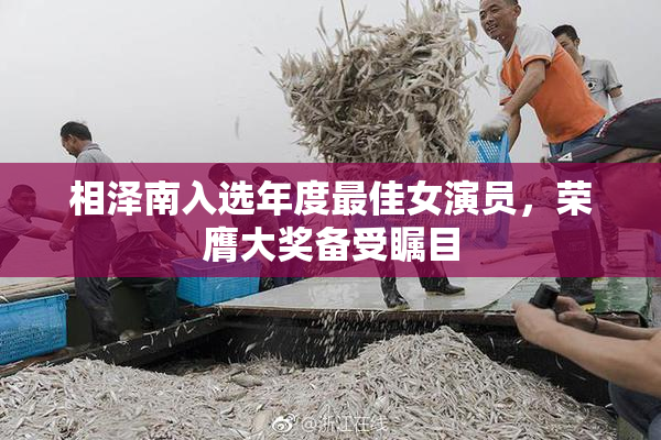 相泽南入选年度最佳女演员，荣膺大奖备受瞩目