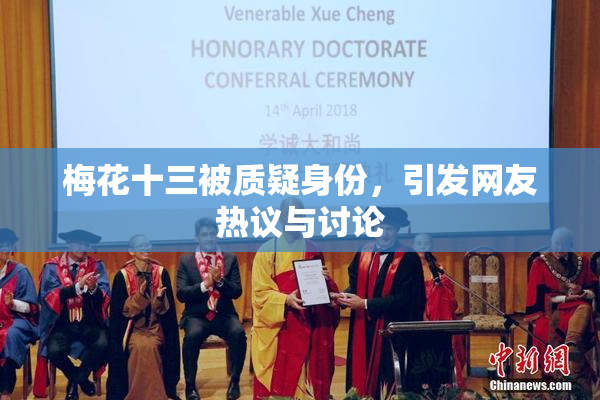 梅花十三被质疑身份，引发网友热议与讨论