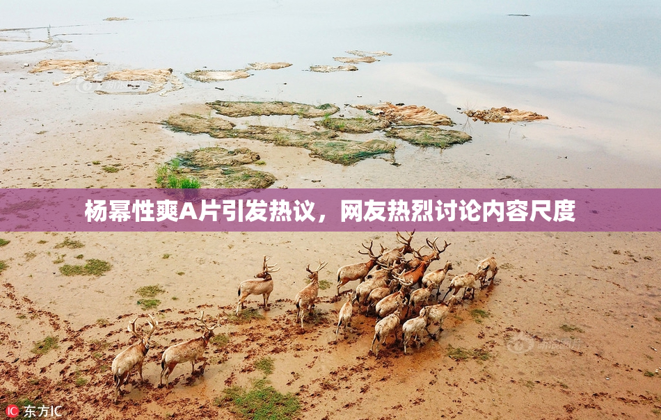 杨幂性爽A片引发热议，网友热烈讨论内容尺度