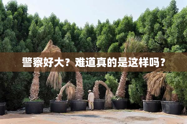 警察好大？难道真的是这样吗？